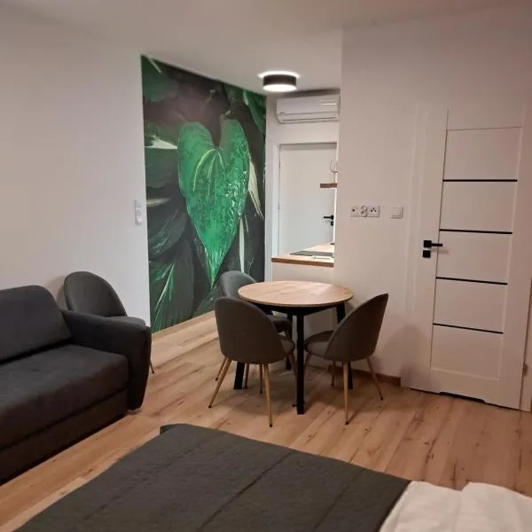 Apartamenty Zielony Liść, hotell i Ciechocinek