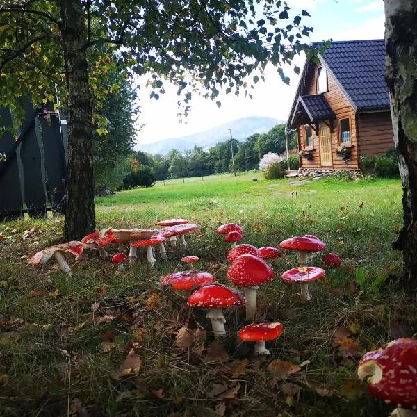 Domek na Kamieńcu, hotel en Żywiec