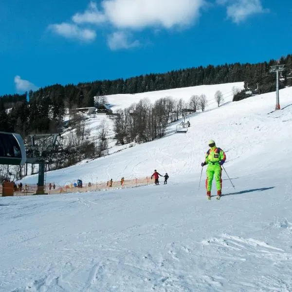 Alpenpension Gasthof, khách sạn ở Semmering