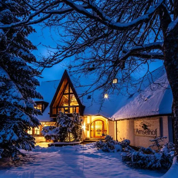 Landhaus Amselhof Hinterzarten, hótel í Hinterzarten