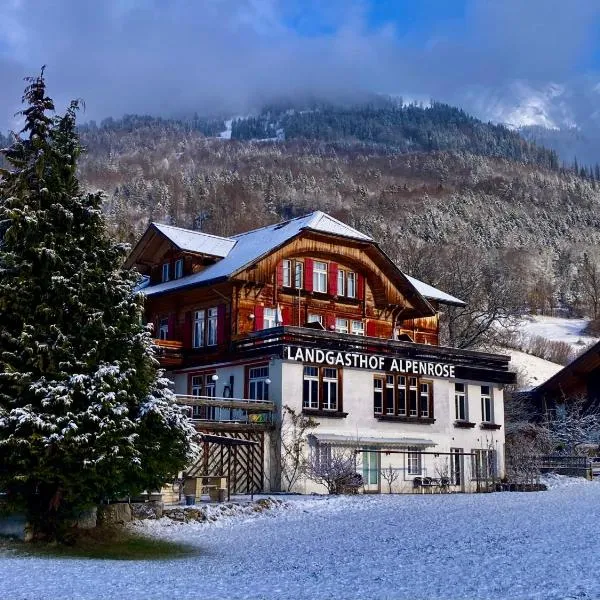 Hotel Alpenrose beim Ballenberg，位于哈斯利伯格的酒店