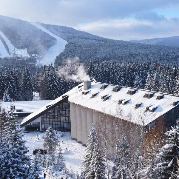 Wellness Hotel Svornost, hôtel à Harrachov