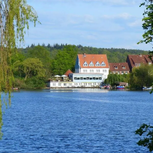 Restaurant und Hotel Zum Weissen Ross, hotel di Güster