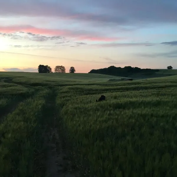 Broockhof Ferienwohnung unterm Sternenhimmel in Mecklenburg, готель у місті Reimershagen