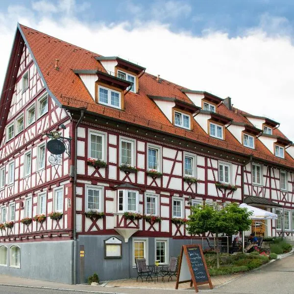 Hotel Post Jungingen, hotel em Hechingen