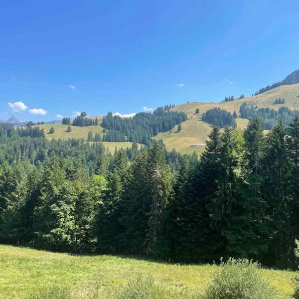 Superbe appartement 3.5 avec cheminée, hotel din Gruyères