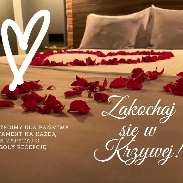 Aparthotel Krzywa Kamienica, hotel v Lodži