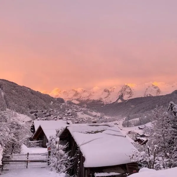 Le Grand-Bornand में, होटल LE RUCHER DE LA VIGNETTE