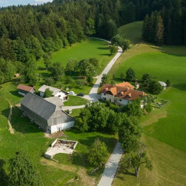 Eco Tourist Farm Ravnjak, hotell Slovenj Gradec