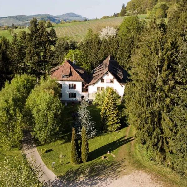 Gästehaus Kaltenbach, hotel en Friburgo de Brisgovia