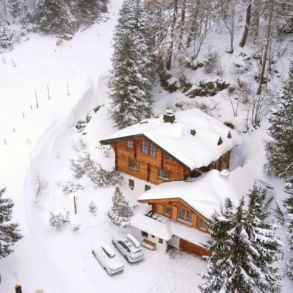 MOUNTAINRANGER - Lodge - ski in & ski out, hotel en Schladming