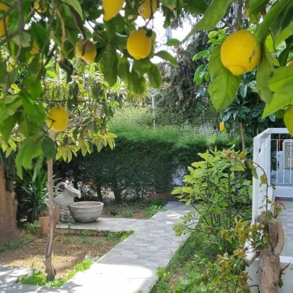 Elpida Lemon Garden House, hótel í Limassol