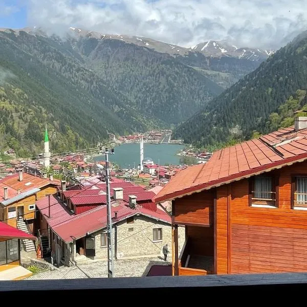 Şimo Suite Otel, hotel u gradu Uzungol