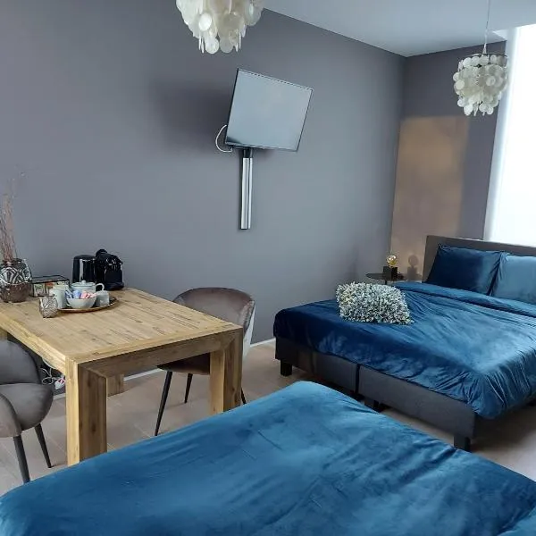 Bed & Wellness Boxtel, 4 persoonskamer met eigen badkamer, hotel a Oisterwijk