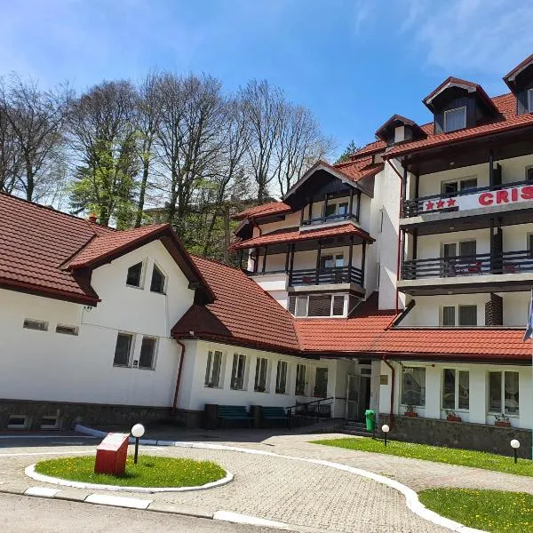 Cristal Sinaia，位于锡纳亚的酒店