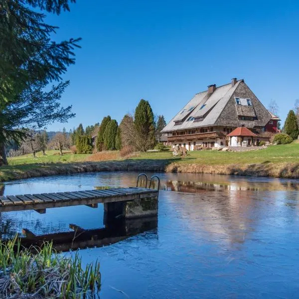 Ferienwohnung im Hubertushof, hotel u gradu Feldberg