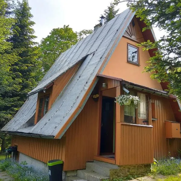 ELDORADO - całoroczny domek wakacyjny 35 km od Krakowa, hotell i Myślenice