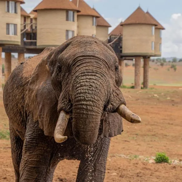 Salt Lick Safari Lodge, hotel en Tsavo