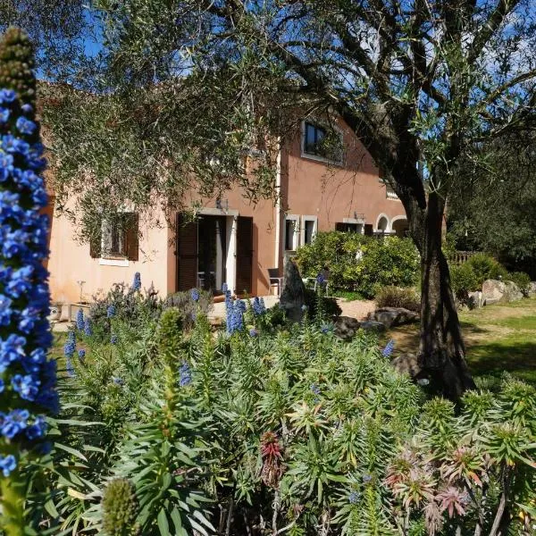 Chambre d'Hôtes Domaine Pero Longo, hotell sihtkohas Giannuccio