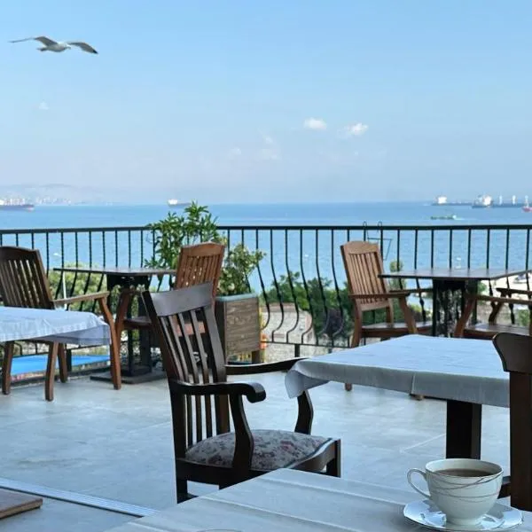 Queen Seagull Boutique Hotel, hotel din Istanbul