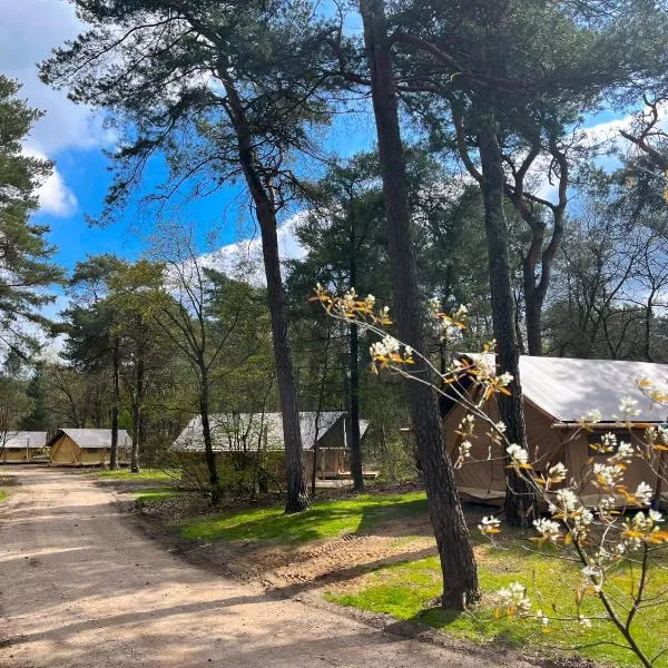 Huttopia De Veluwe, hotelli kohteessa Putten