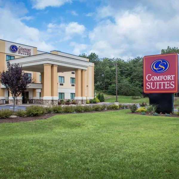 Comfort Suites Lewisburg, hôtel à Shamokin Dam