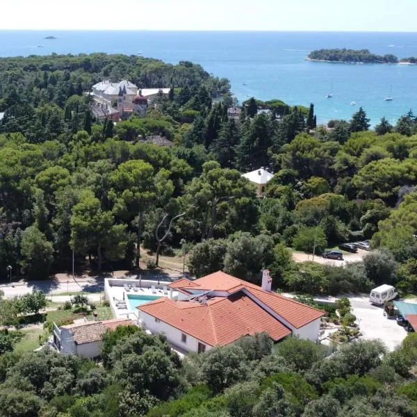 Villa Salteria 3, pool, private territory, pinery, hotel v Rovinj