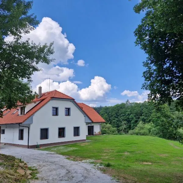 Ubytování U Bohouše, hótel í Jindřichŭv Hradec