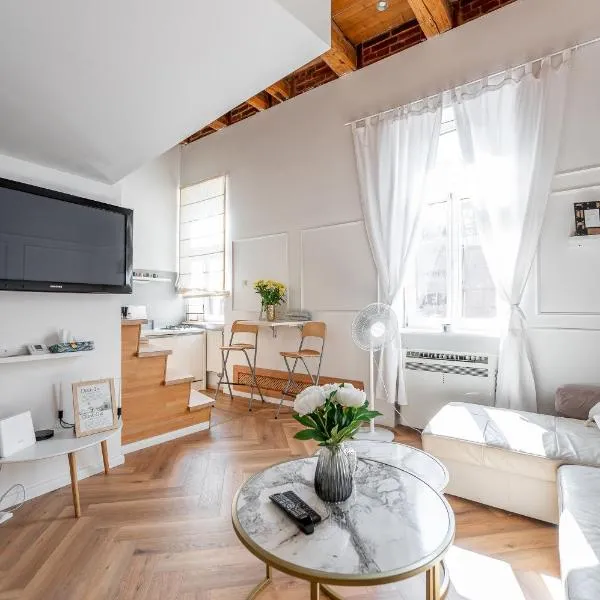 Hlavna Loft Apartment Kosice，科希策的飯店