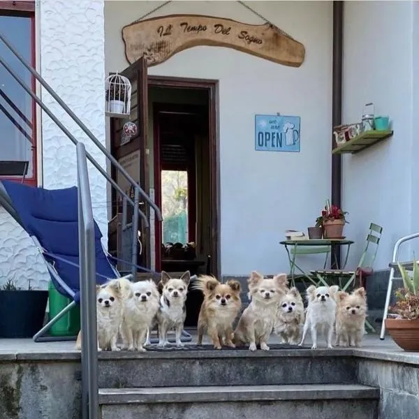 Viesnīca B&B Il tempo del sogno con cani e gatti Pet&Breakfast pilsētā Baveno