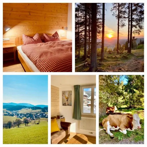 Gästehaus Steiert Fewo Kuhbergblick, hotel u gradu Lenckirh