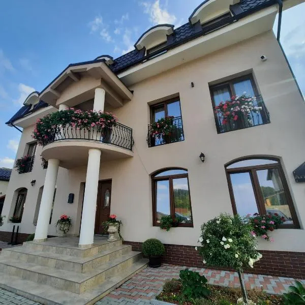 AristoCat Hotels Rasnov, готель у місті Ришнов