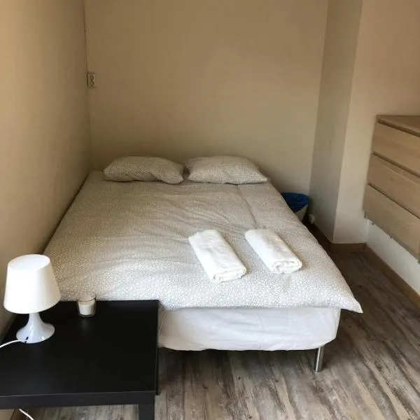 Guesthouse - Oslo Centrum: Oslo'da bir otel