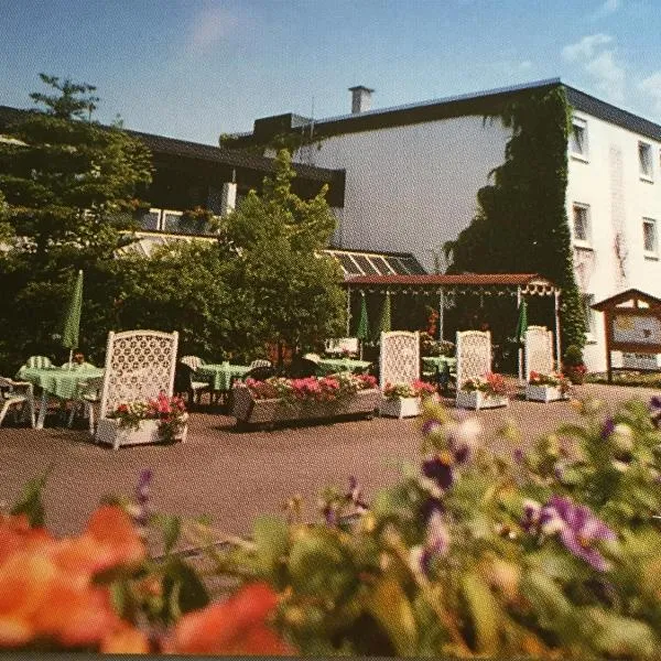 Niebuhrs Hotel, hotel en Friedrichsdorf