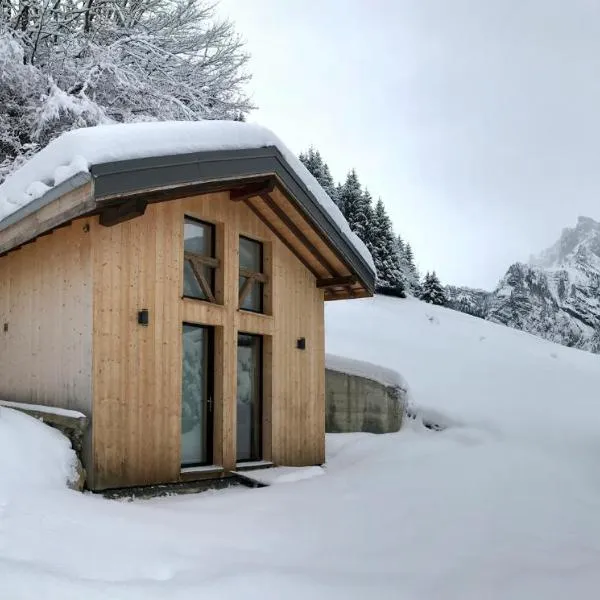 Chalet*** au pied d'une prairie face à la montagne, hotell i Morzine