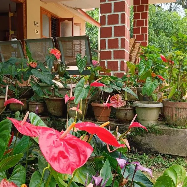 Blue Petal Homestay, hotell i Virajpet