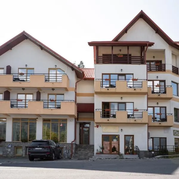 Opus View, hotel din Sinaia