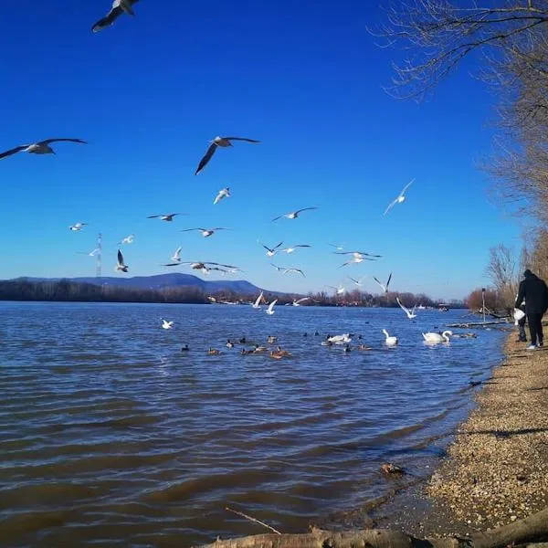 Duna Riverside, ξενοδοχείο σε Dunakeszi