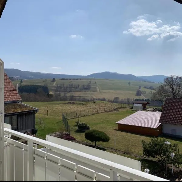 Landhaus Schneeberg, viešbutis mieste Bišofsheimas prie Reno