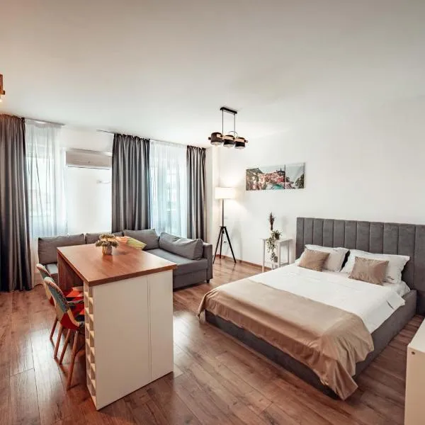 Amazing Cozy and Lovely Studios and Apartments Q Residence Iasi، فندق في ياش