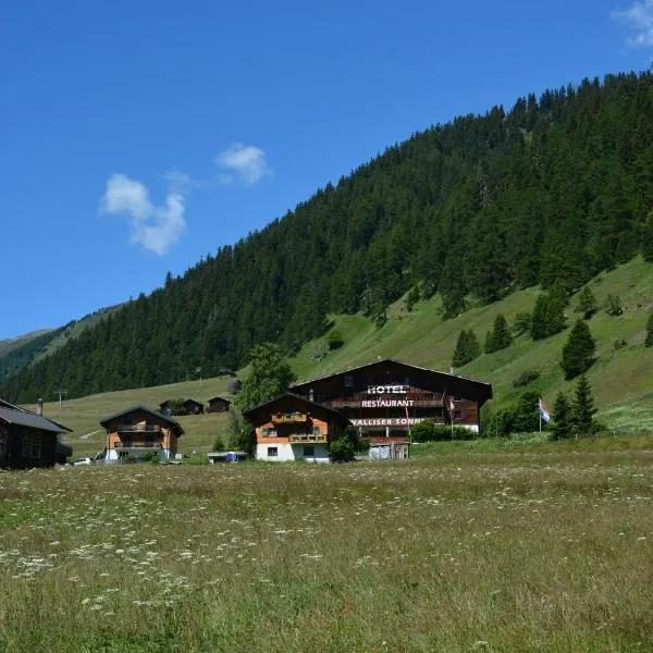 Hotel Restaurant Walliser Sonne, hótel í Ritzingen