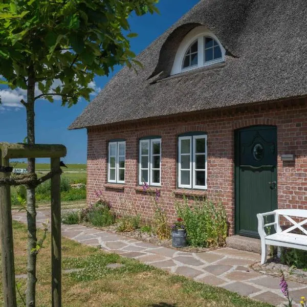 Urlaub in Nordfriesland Wohnung Klaar Kimming, hotel Hattstedtermarsch