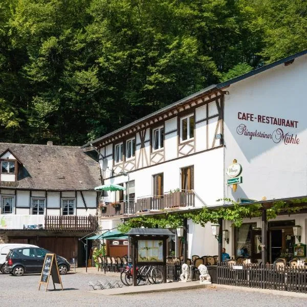 Landhotel Ringelsteiner Mühle: Wierschem şehrinde bir otel