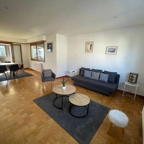 Appartement de 115m2 à 10 min de Strasbourg & 25 min d'Europa Park !，位于伊尔基希-格拉芬斯塔登的酒店