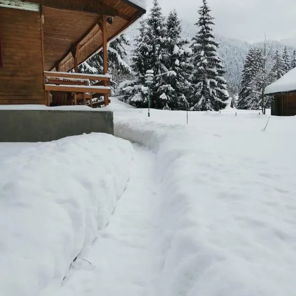 Cabana Fantanita cu Brazi, viešbutis Brašove