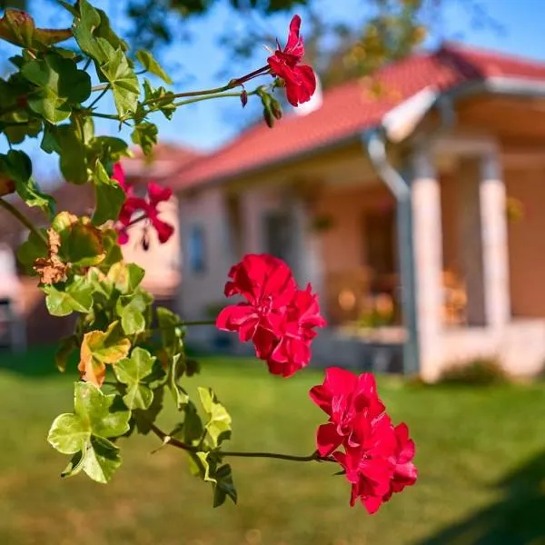 Villa Simida, hótel Debnevo