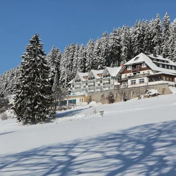 JUFA Hotel Schwarzwald, hotel u gradu 'Lenzkirch'