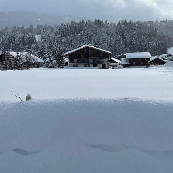 Chalet Esquinade 4 bedrooms appartment Megève, hotel em Megève