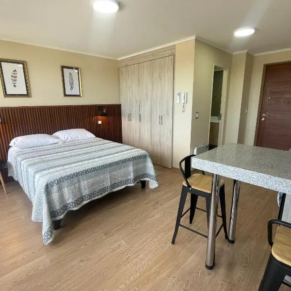 Depto central, parking, moderno: Chillán'da bir otel