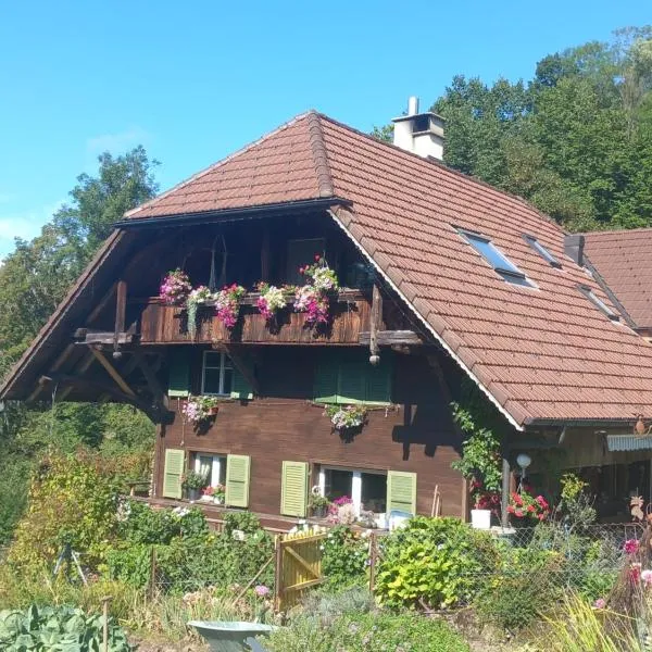 Bright, sunny holiday apartment on the farm, hotel sa Thun